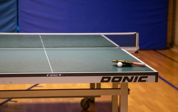 Tischtennisplatte
